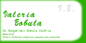 valeria bobula business card